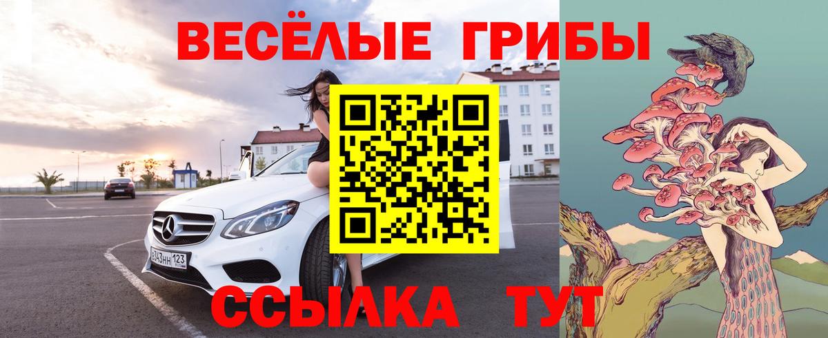 Псилоцибиновые грибы GOLDEN TEACHER Сыктывкар